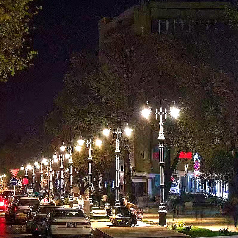 Durable & Modern Street Lamp Poles for Municipal Projects